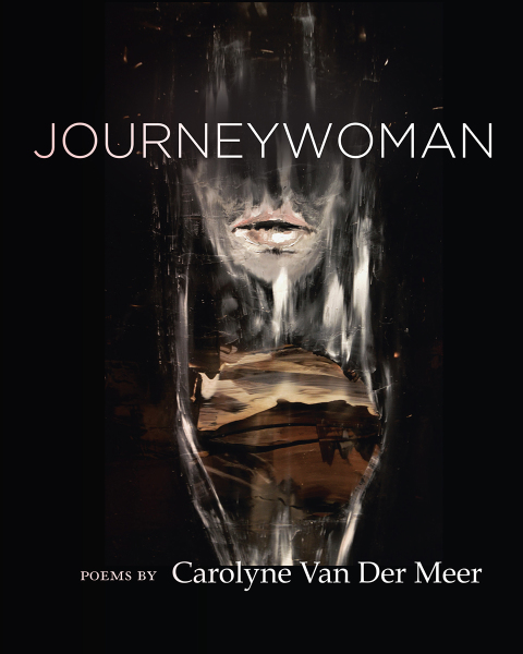 Cover image for book Journeywoman