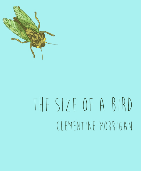 Cover image for book The Size of a Bird