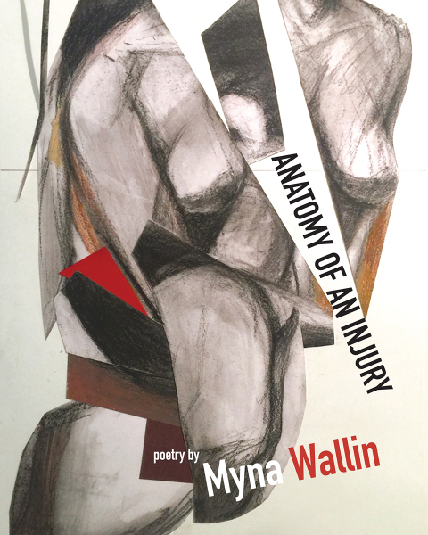 Cover image for book Anatomy of an Injury