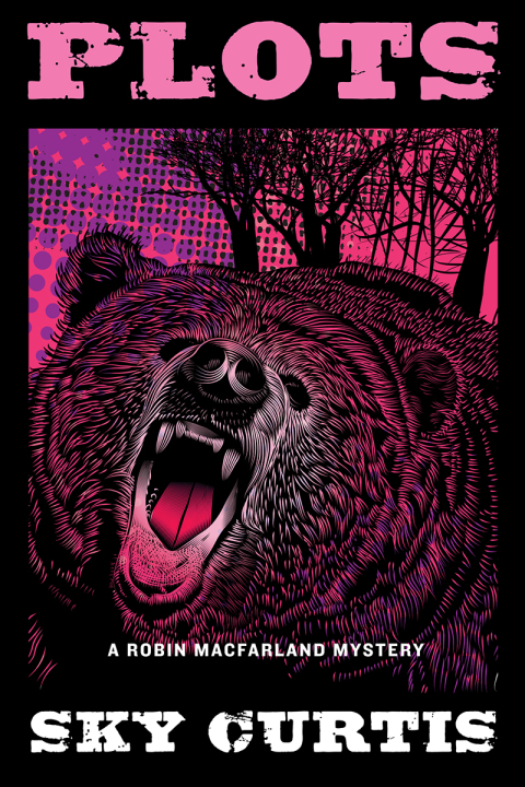 Cover image for book Plots