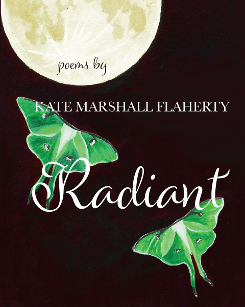 Cover image for book Radiant