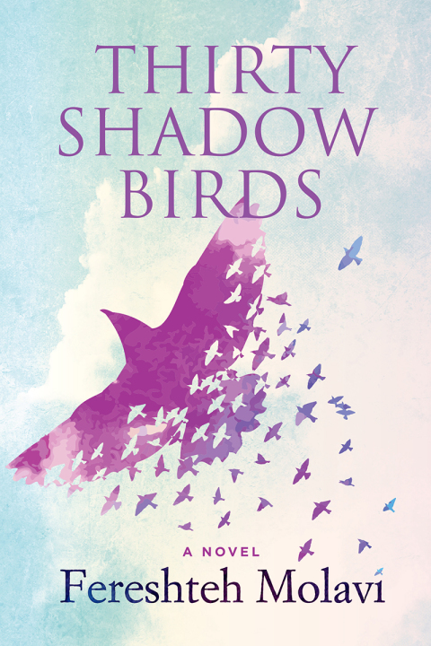 Cover image for book Thirty Shadow Birds