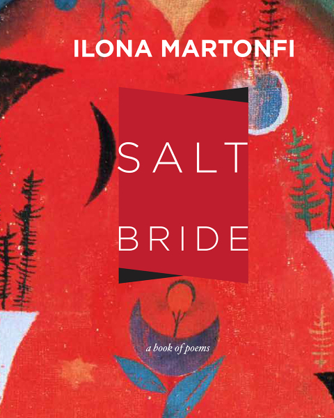 Cover image for book Salt Bride