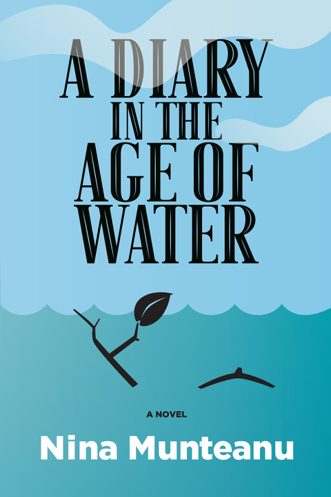 Cover image for book A Diary in the Age of Water