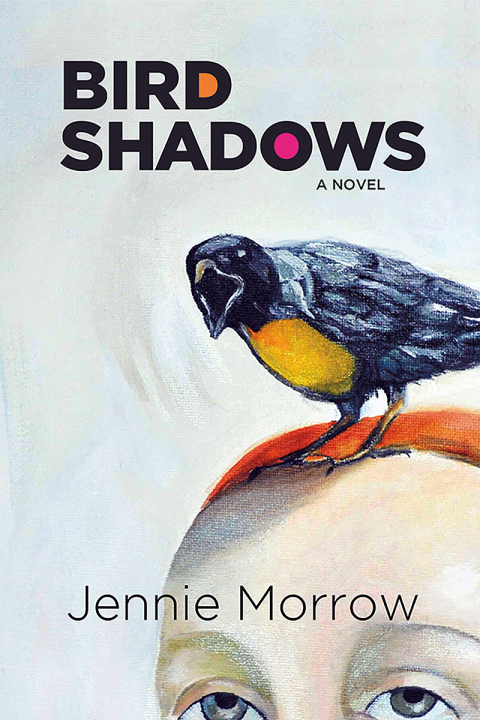 Cover image for book Bird Shadows
