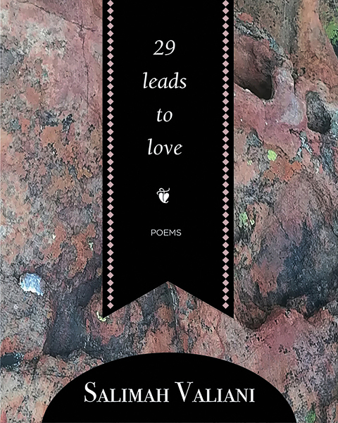 Cover image for book 29 leads to love