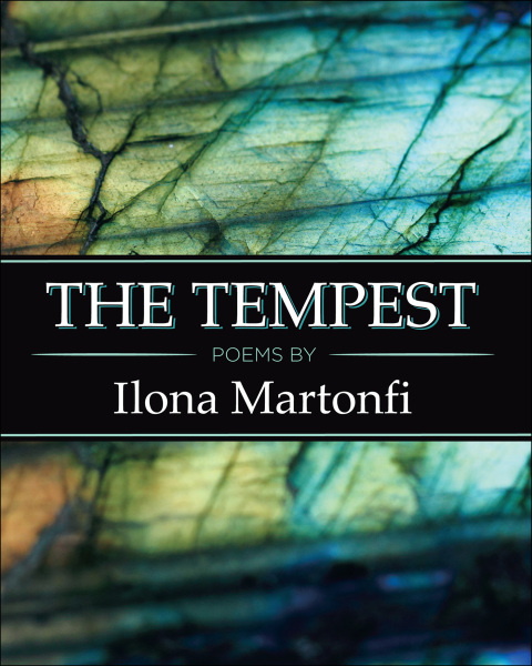 Cover image for book The Tempest