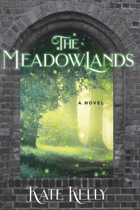 Cover image for book The Meadowlands