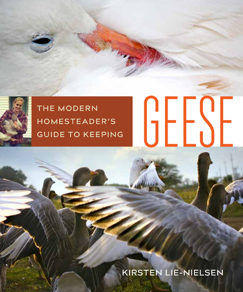 Cover image for book The Modern Homesteader's Guide to Keeping Geese