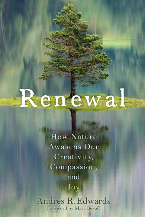 Cover image for book Renewal