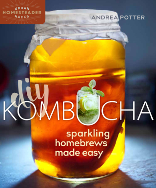 DIY Kombucha