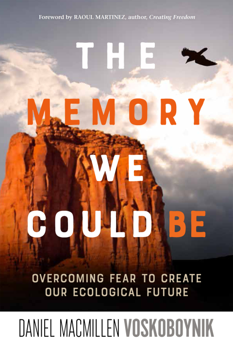 Cover image for book The Memory We Could Be