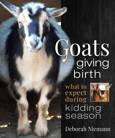 Cover image for book Goats Giving Birth