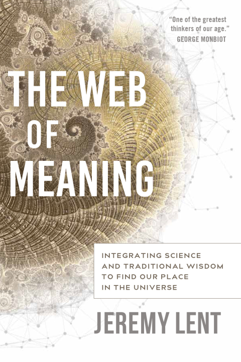 Cover image for book The Web of Meaning