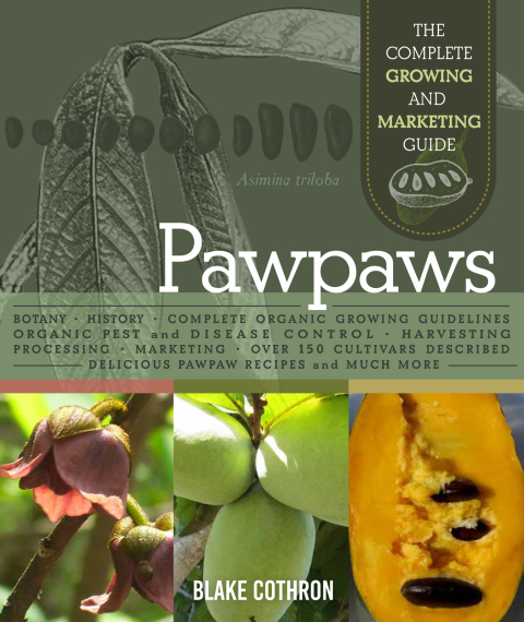 Cover image for book Pawpaws