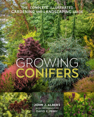 Growing Conifers