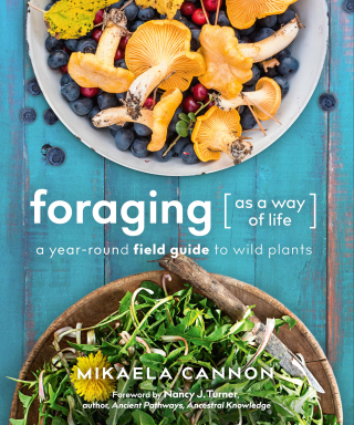 Foraging as a Way of Life