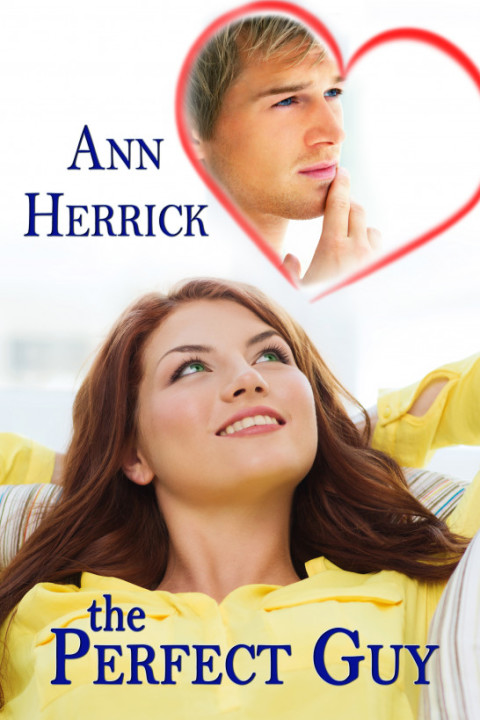 Cover image for book The Perfect Guy