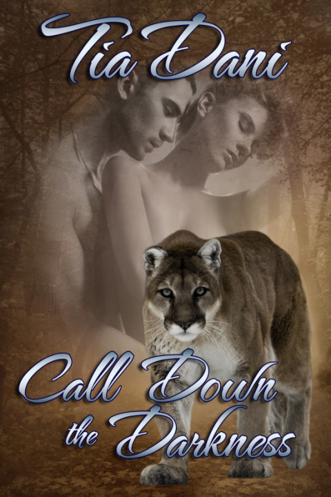 Cover image for book Call Down The Darkness