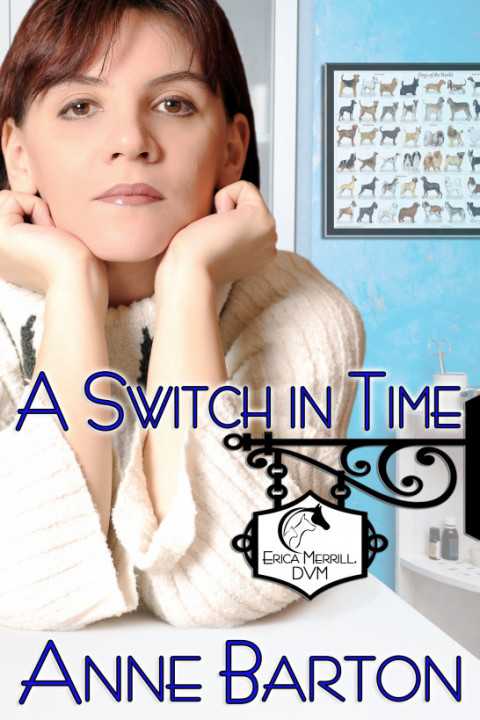 Cover image for book A Switch in Time