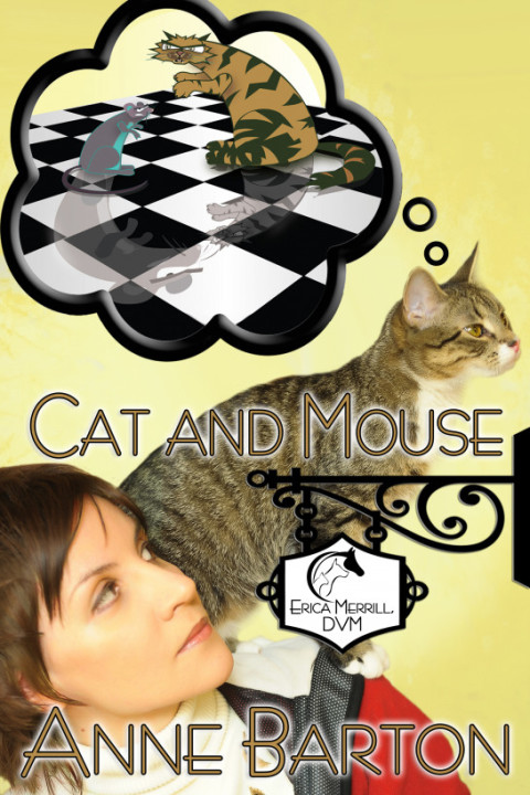 Cover image for book Cat and Mouse