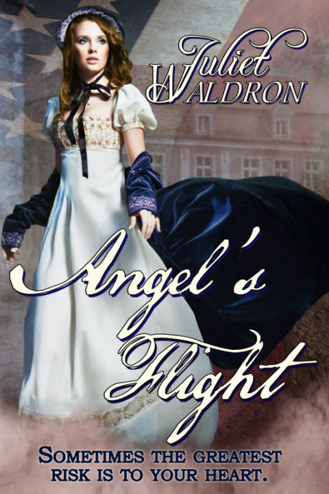 Cover image for book Angel's Flight