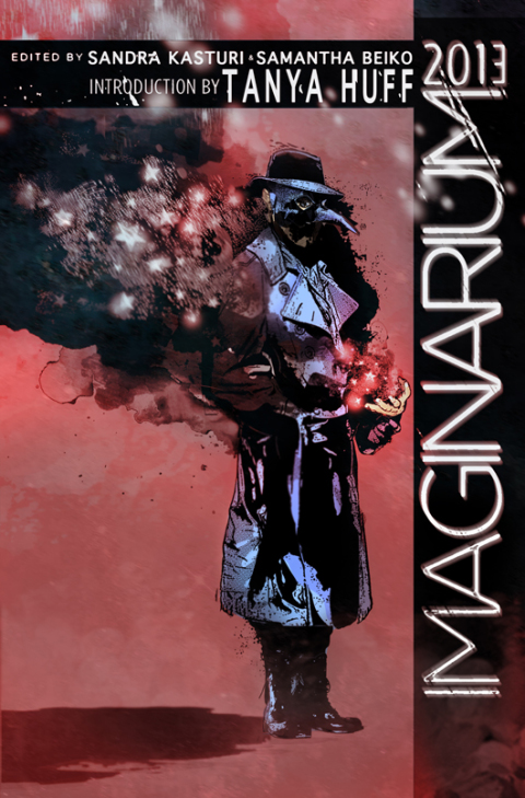 Cover image for book Imaginarium 2013