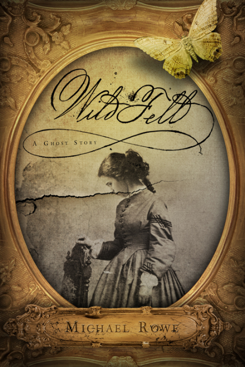 Cover image for book Wild Fell
