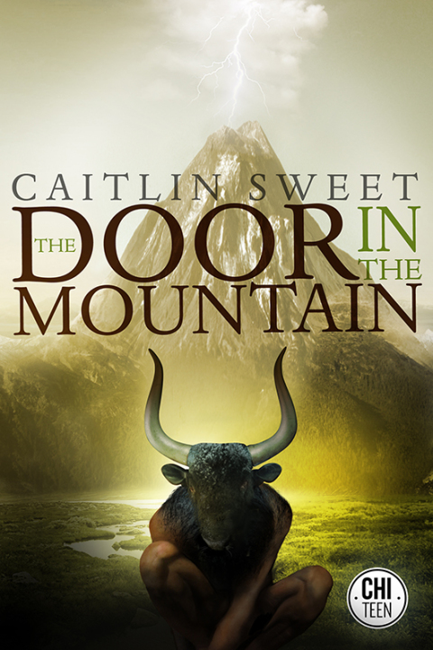 Cover image for book The Door in the Mountain