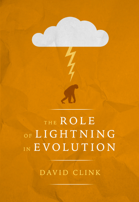 Cover image for book The Role of Lightning in Evolution