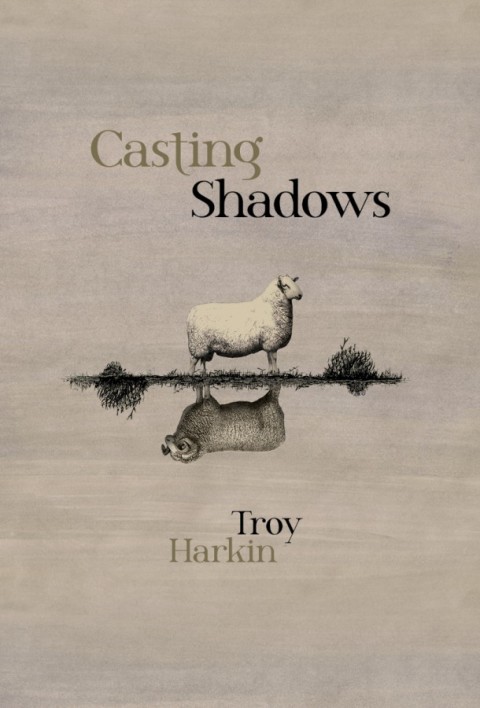 Cover image for book Casting Shadows