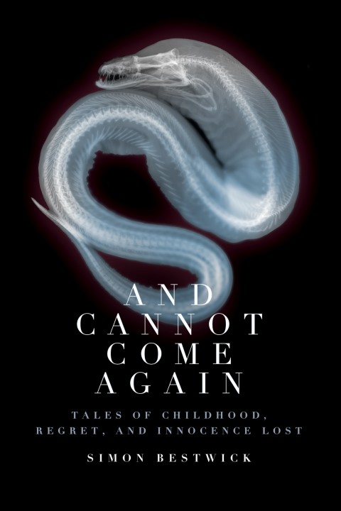 Cover image for book And Cannot Come Again