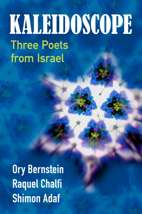 Cover image for book Kaleidoscope