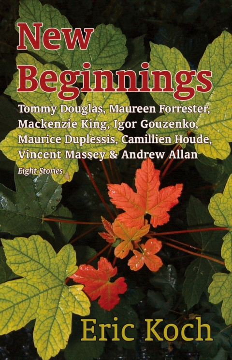 Cover image for book New Beginnings
