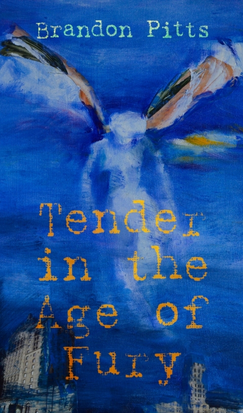 Cover image for book Tender in the Age of Fury