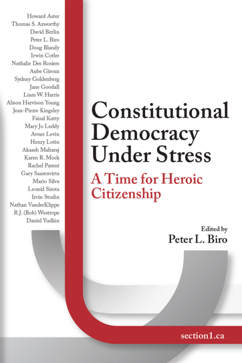 Cover image for book Constitutional Democracy Under Stress