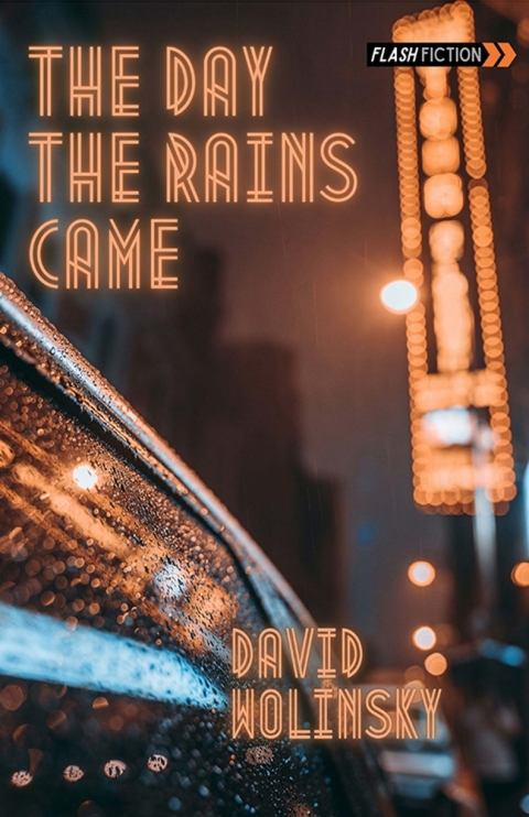 Cover image for book The Day The Rains Came