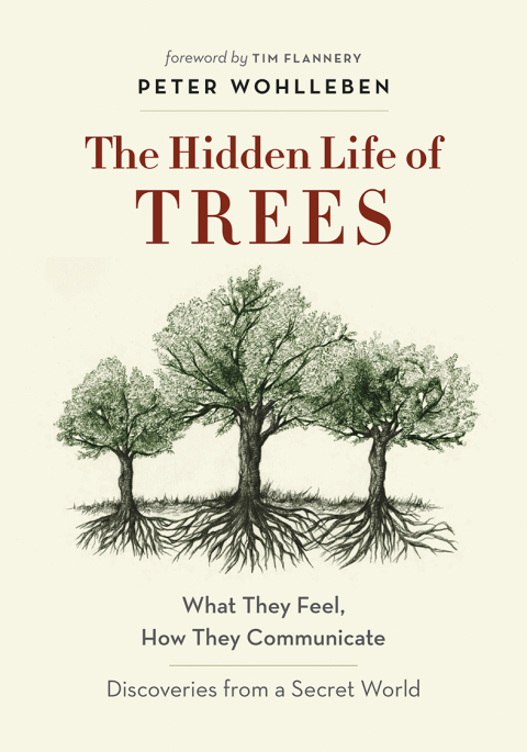 Cover image for book The Hidden Life of Trees
