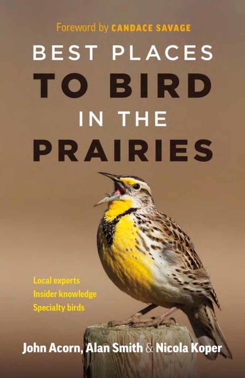 Cover image for book Best Places to Bird in the Prairies