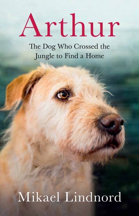 Cover image for book Arthur