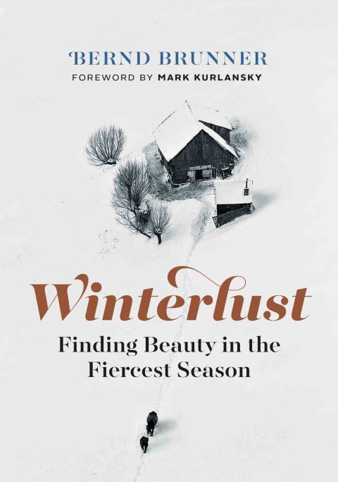 Cover image for book Winterlust