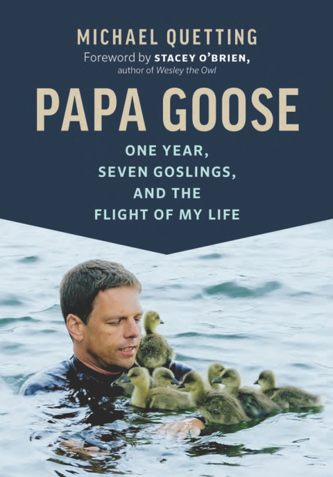 Cover image for book Papa Goose