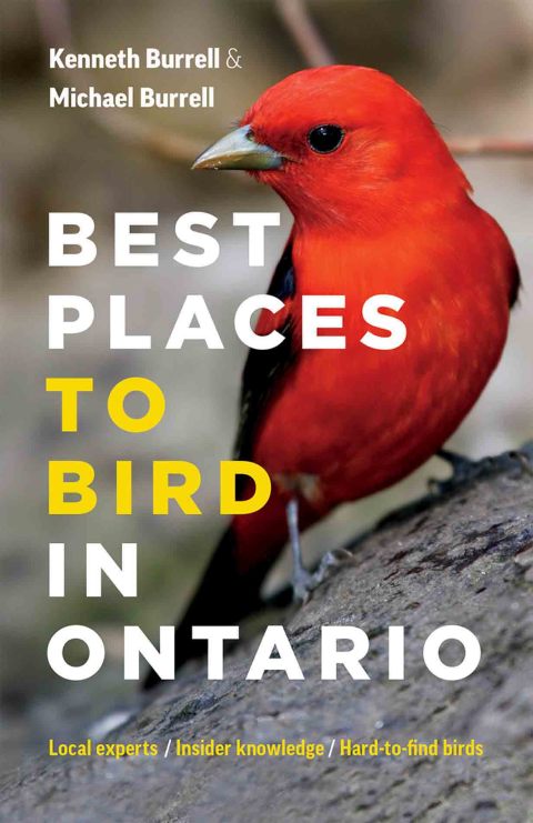 Cover image for book Best Places to Bird in Ontario