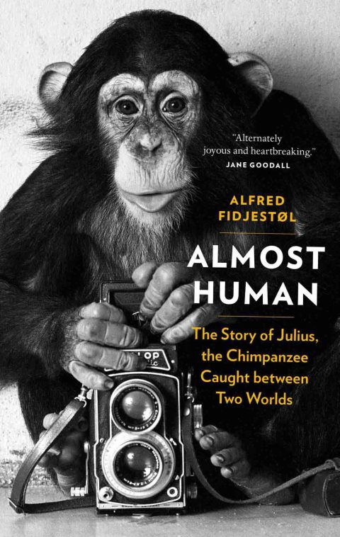 Cover image for book Almost Human