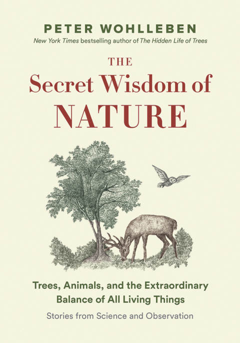 Cover image for book The Secret Wisdom of Nature