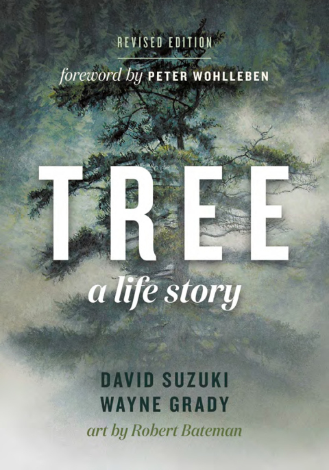 Cover image for book Tree