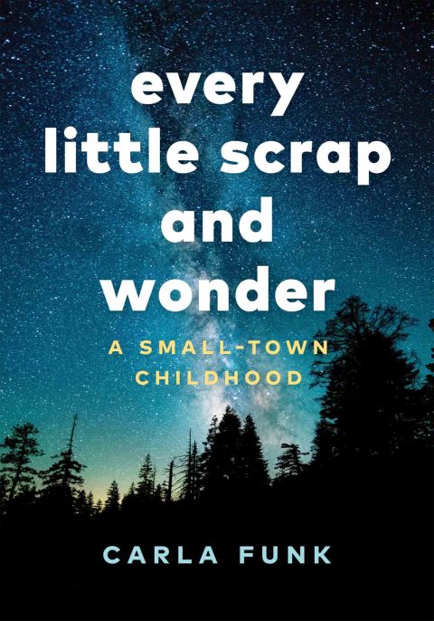 Cover image for book Every Little Scrap and Wonder