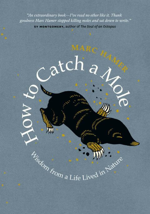 Cover image for book How to Catch a Mole