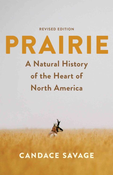 Cover image for book Prairie