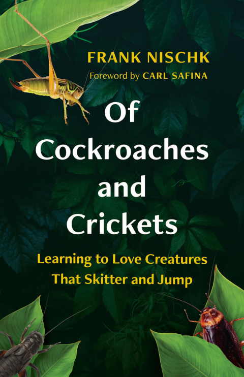 Cover image for book Of Cockroaches and Crickets